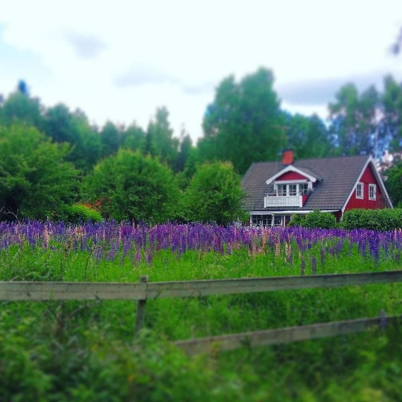 paesaggi svezia
