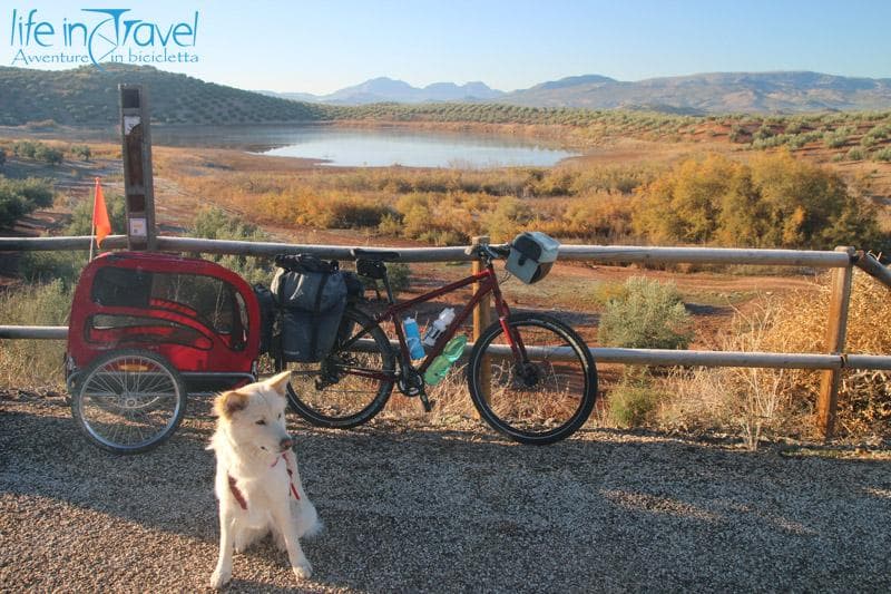 15 spagna in bici