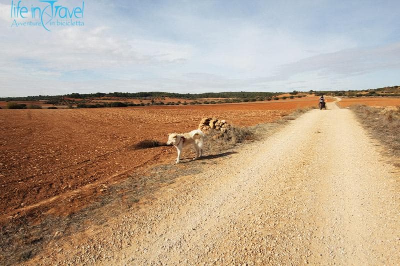 3 spagna in bici