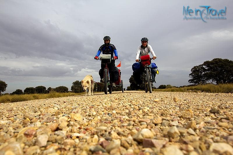 leo vero nala bici